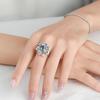 Xiaohongshu Dazzling Iris Zircon Flower Ring: Adjustable Women's Jewelry