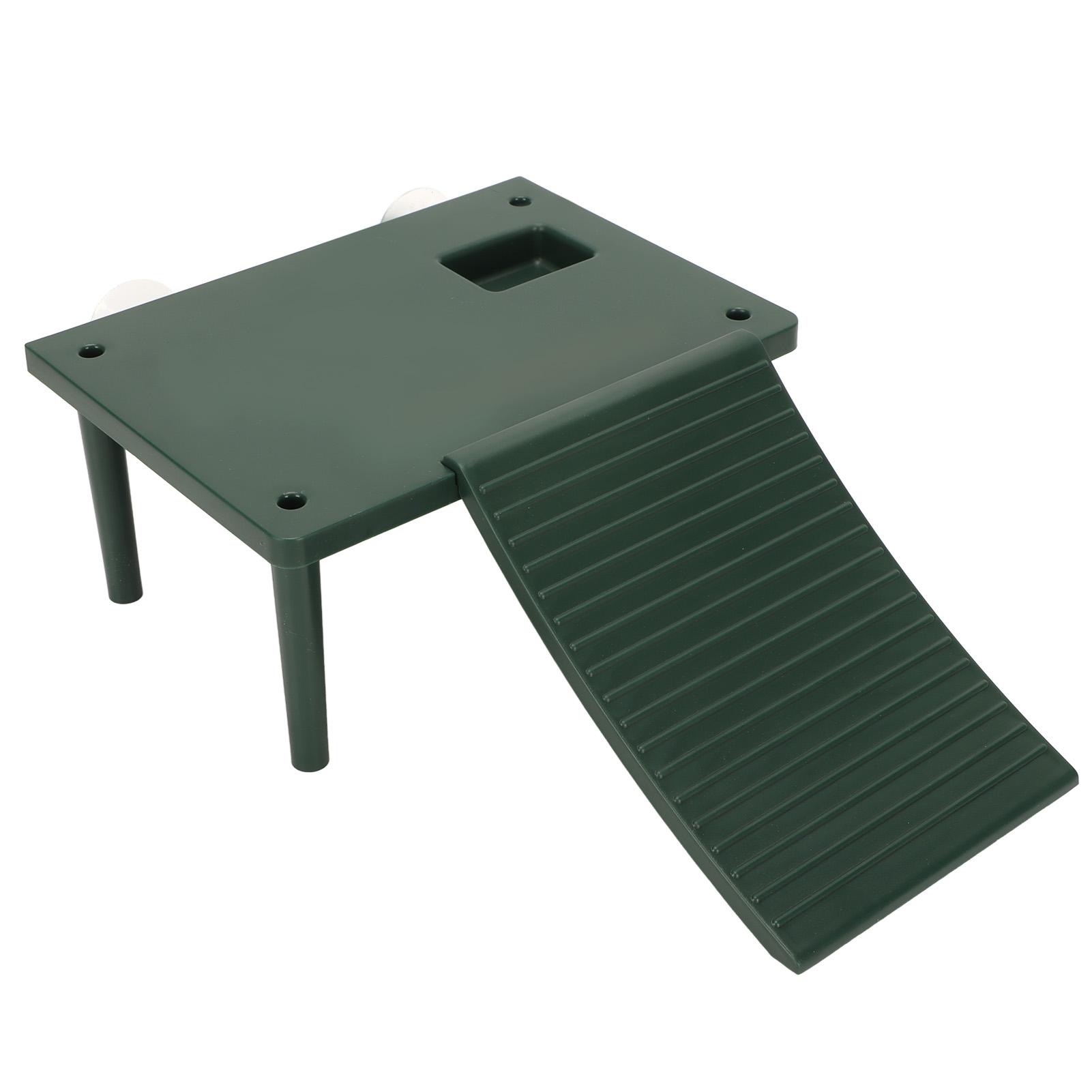 

Turtle Basking Platform Exercise Climbing Ability Tortoise Resting Terrace with Climbing Ladder
