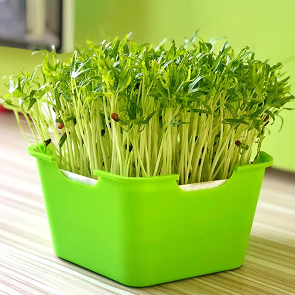 Horticultural Tool Sprouts Growing Tray Convenient Sprout Planting Helper Sprouting Tray Multi functional Reusable
