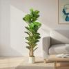 150cm Artificial Fiddle Leaf Fig Tree - Green