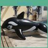 Huge Whale Water Park Inflatable Floater Wholesale Surfing Whale Ride-on Adult Inflatable Float Black Pvc 193*119cm
