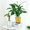 Vaso de Flores Autoirrigável Plástico Listrado com Cordas de Pavio Reservatório de Água Vaso para Plantas de Interior para Mesa Escritório Decoração de Casa
