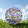 Pocoyo's Colorful Adventure Size 5 Soccer Ball,Indoor/Outdoor Suitable for Training Matches Tournaments Practice Games Perfect Gift for Fan