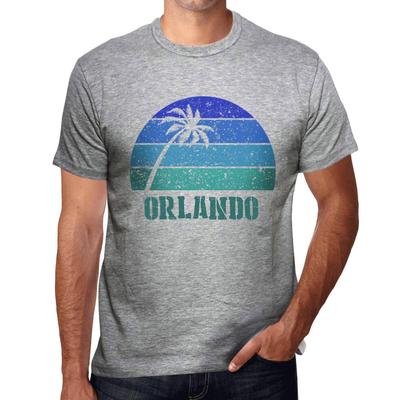 Men’s Vintage Tee Shirt Graphic T Shirt Orlando Sunset Grey Marl