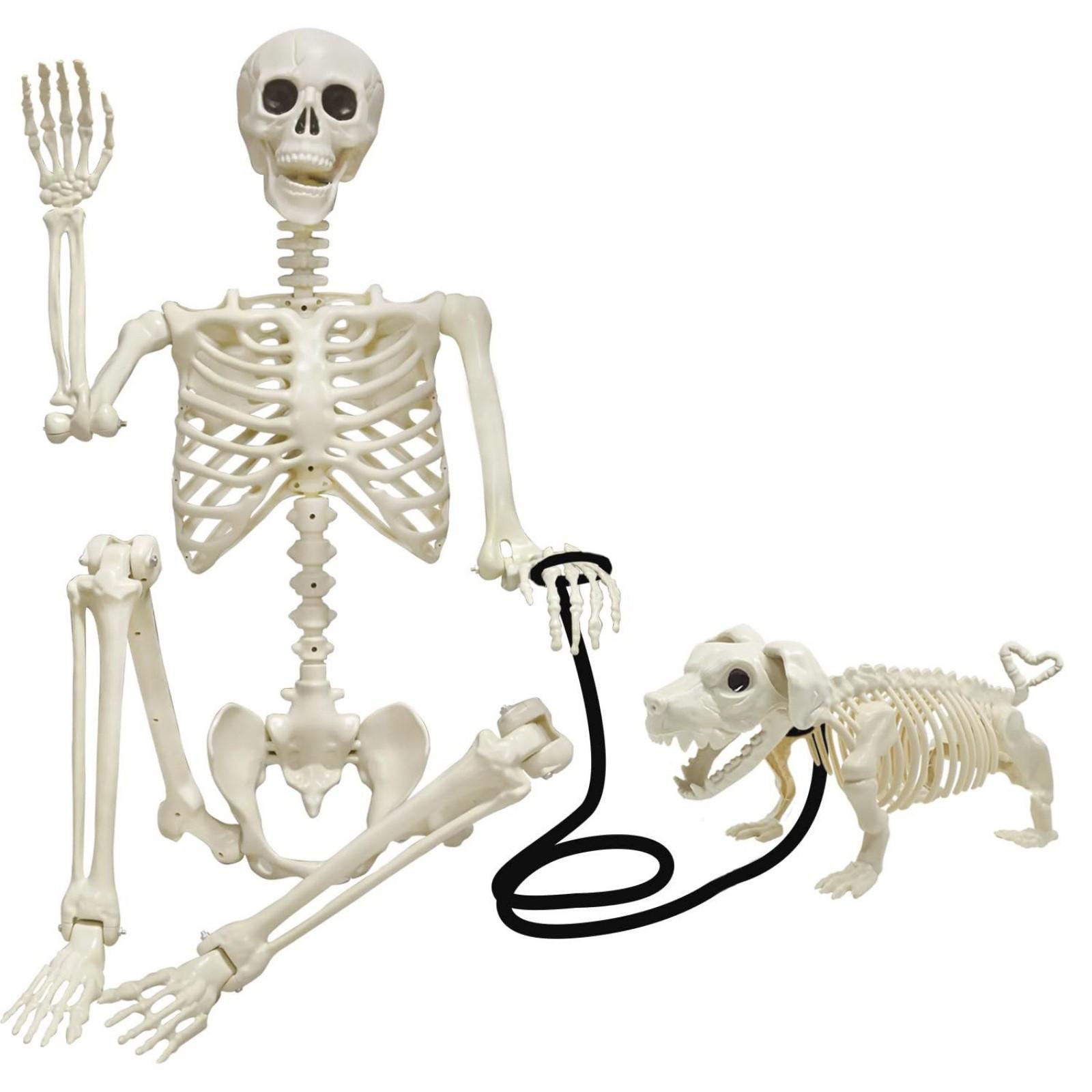 

Скелет собаки Скелет человека Ужасная сцена для розыгрыша Комната в доме с привидениями Реквизит для украшения One Size