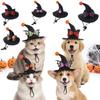 Pointed Brim Cat Witch Costume Cap Adjustable Strap Skeleton Spider Pet Hat Trick or Treat