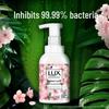 lux Antibakterielle schäumende Handseife