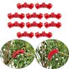 10 Pieces Plant Clips Practical Garden Decoration Branches Bender