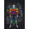 Muscle Anatomy Chart Quotes Canvas Painting Weightlifting Poster Print Color Pictures Gym Boy Room Wall Home Decor