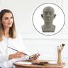 Generic Planar Head Model for Drawing Resin Skull Sculpture with Detailed Muscle Structure Art Study Tool for Sketching Anatomy Learning