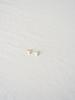 The Part Of [Silver 925] All Silver Baguette Earrings (2 Colors)