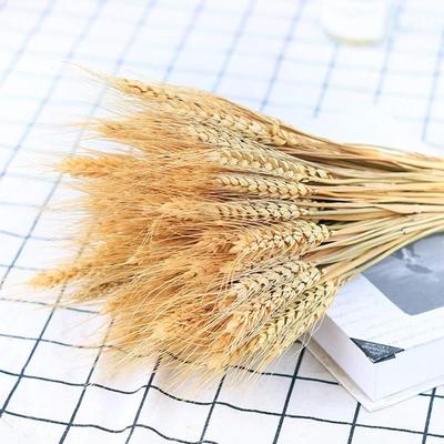 Decorațiuni pentru casă – Flori decorative şi coroane de flori