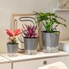 Självvattnande Planteringskruka med Sidoport för Vattenpåfyllning Genomskinlig Behållare Modern Blomkruka med Värmeslingor för Inomhus Hemkontor Dekor