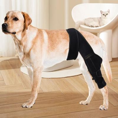 Adjustable Pet Joint Protection Covers Breathable Rear Leg Brace Dog Knee Brace Comfortable Dog Arthritis Protector
