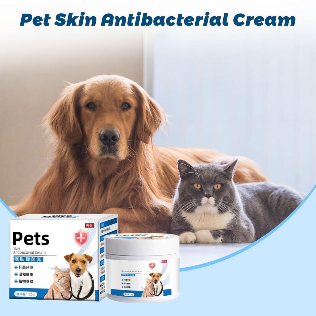 Ntensive Ointment, Ultimate Skin Relief For Dogs & Cats, Itchy Skin, Scratching, Dry & Irritated Skin, Cracked , Care & After-, Korean Pet Skincar