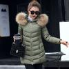 Basic medium and long slim-fitting cotton-padded clothes women's large fur collar stand-up collar cotton-padded jacket, solid color simple and light t