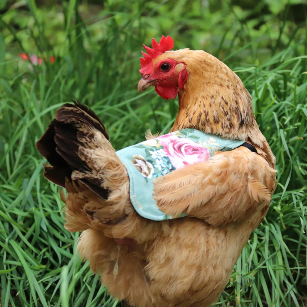 Adjustable Chicken Vest Pet Reflective Vest Chicken Clothes Poultry Hen Saddle Apron Feather Protection Holder For Chicken Duck