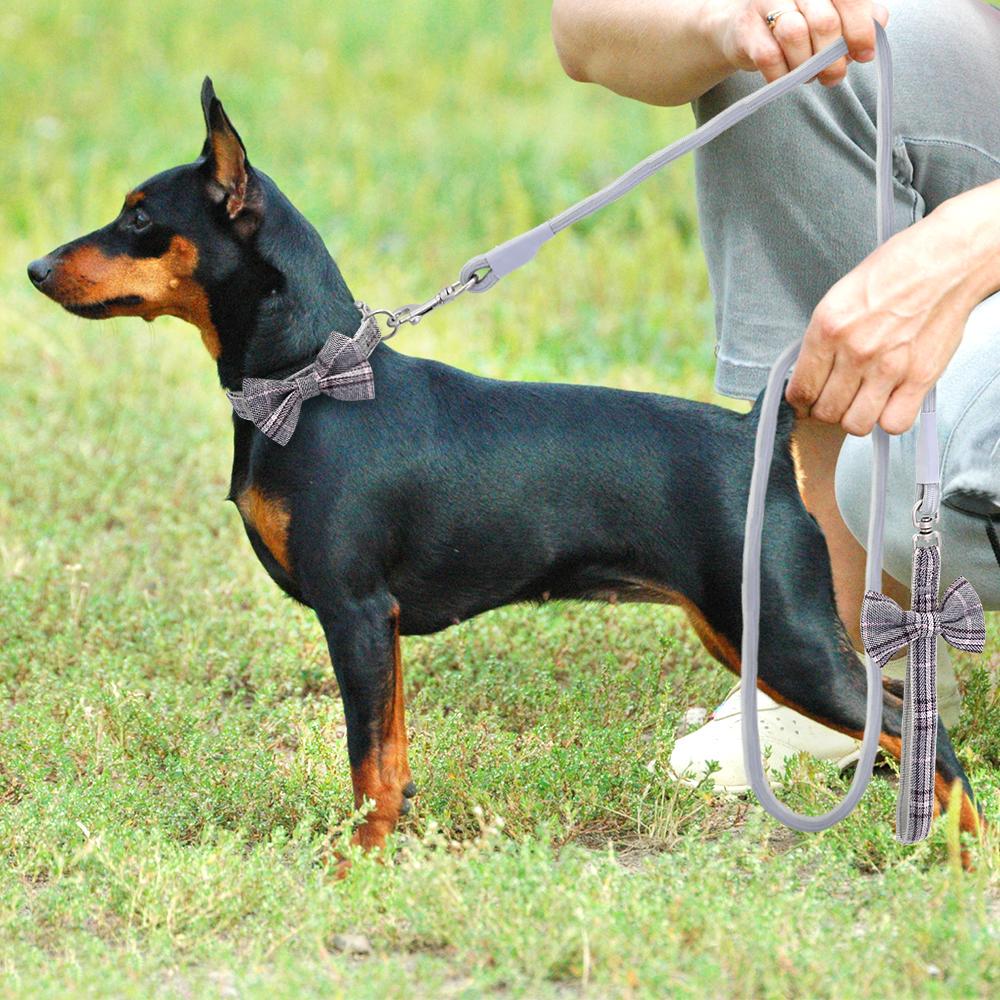 doberman belt