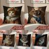 Quirky Elegant And Luxurious Crown Cat Pillow Case Pattern Printed Pillowcase For Living Room Sofa Cushion Cover & Bedroom Decor