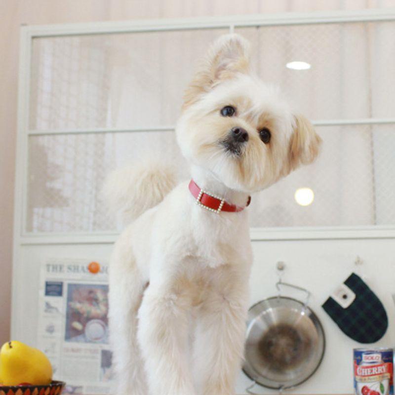 MA MAISON Collier Perle Carrée_Rouge