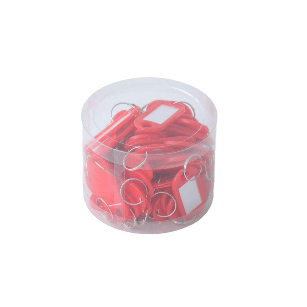 Colorful Detachable Plastic Key Tag Keyring for Office & Home Management