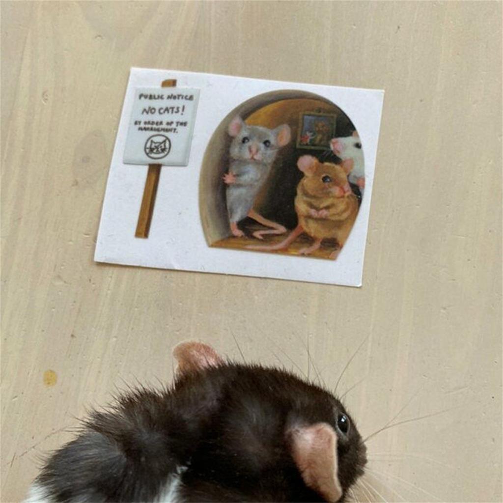 Cat & Mouse Wall Stickers (Pack Of 10) – Vinyl Decals For Kids Room, Skirting Board, Humorous Decor 7 thumbnail image