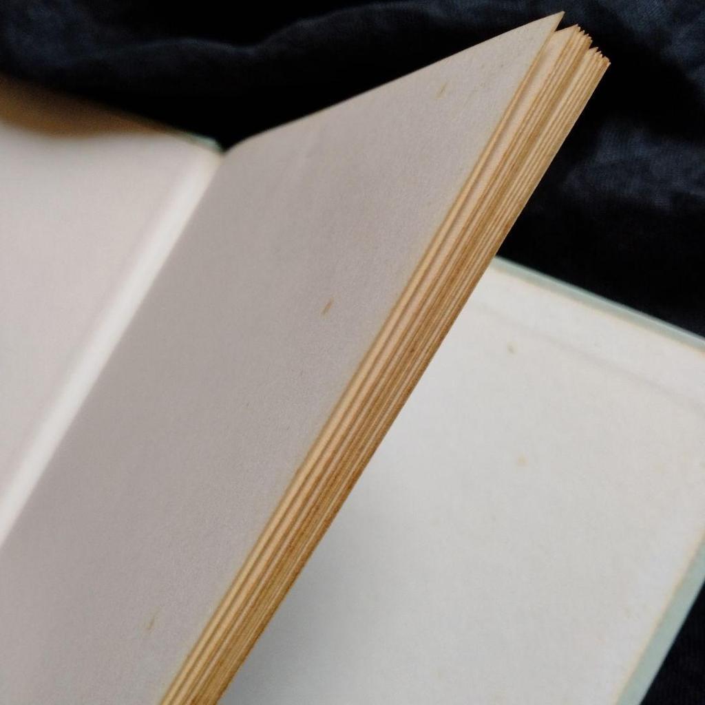 [USED] Paddington at the Tower