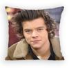 HHaRRyS Singer SStyles Pillow Case Antidustmite Pillowcase Invisible zipper silky short plush Sofa cushion cover