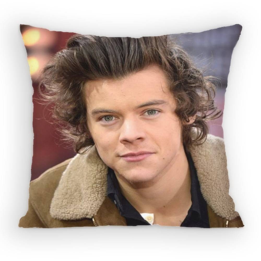 HHaRRyS Singer SStyles Pillow Case Antidustmite Pillowcase Invisible zipper silky short plush Sofa cushion cover