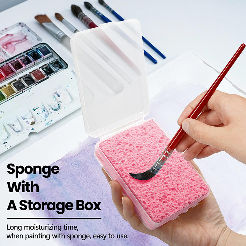 Boxed Watercolor Painting Sponge Super Absorbent Art Supplies Water Absorbing Sponge Square Circular Heart-shaped