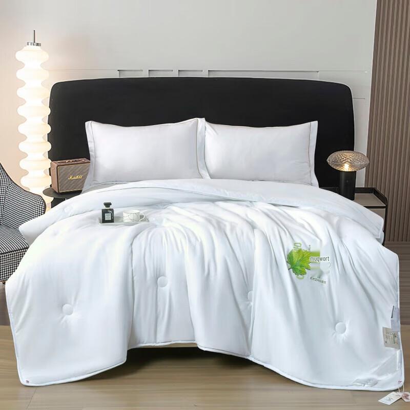 

BAIWEISI Mugwort Warm Fleece Quilt