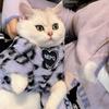 Haine de iarnă pentru pisici cu imprimeu leopard, cu 2 picioare, căptușeală moale, caldă, ușor de purtat, animale de companie, băieți, fete, ținute pentru pisici mici