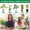 30Pcs Adjustable Plant Support Indoor Plant Sticks Support with Clips & Connectors Aquatic Plant Support for Indoor Plants