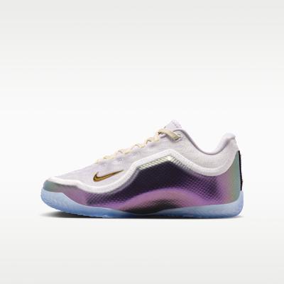 Nike LeBron 23 For The Record (GS) 39