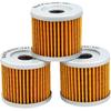 Road Passion Oil Filter for HYOSUNG GV250 2001-2011 GV 250 AQUILA 2012-2014(pack of 3)
