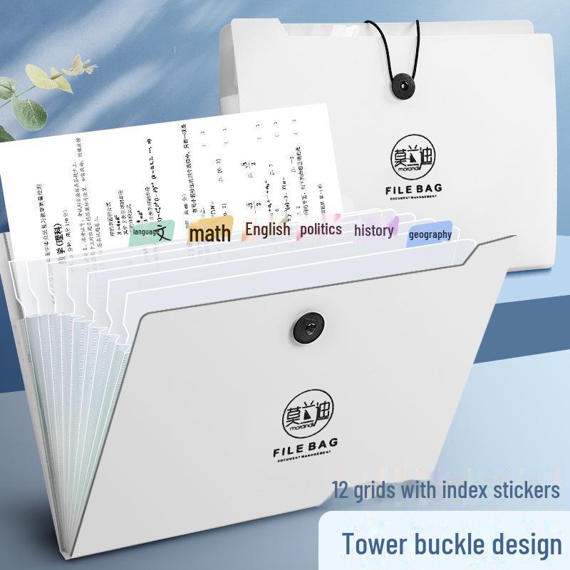 Многослойная папка-гармошка Morandi A4 для контрольных работ студентов 5066-12 grid белый