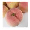 GuCra Peach Lifelike Set of Food Fruit Models Models, 8, Samples, (UP)