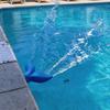 Pool Aerator Sprinkler Fishtail Aerator Fountain Summer Cooler Sprinkler 3/4" Universal