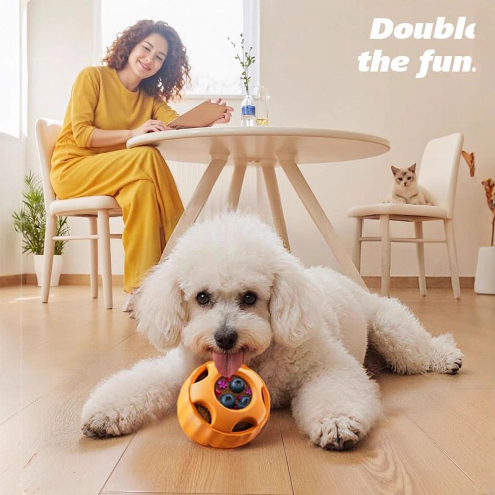

Dog Puzzle Toy Interactive Dog Puzzle Toys Treat Dispenser Chew Games Slow Feeder For Puppy Small Large Pet Teething Exercise China Mainland