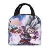 Wukong Lunch Bag Children'S Fully Printed Picnic Bag Cartoon Animation Thermal Insulation Bag Convenient Bento Bag