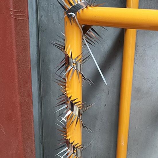 1 Set Anti-Rat Spikes Stainless Steel Bird Deterrent Spikes with Ties Spiked Squirrel Baffle for Pigeons Cats Control