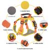 Pet Nylon Reflective Harness With Leash For Small Dogs And Puppies