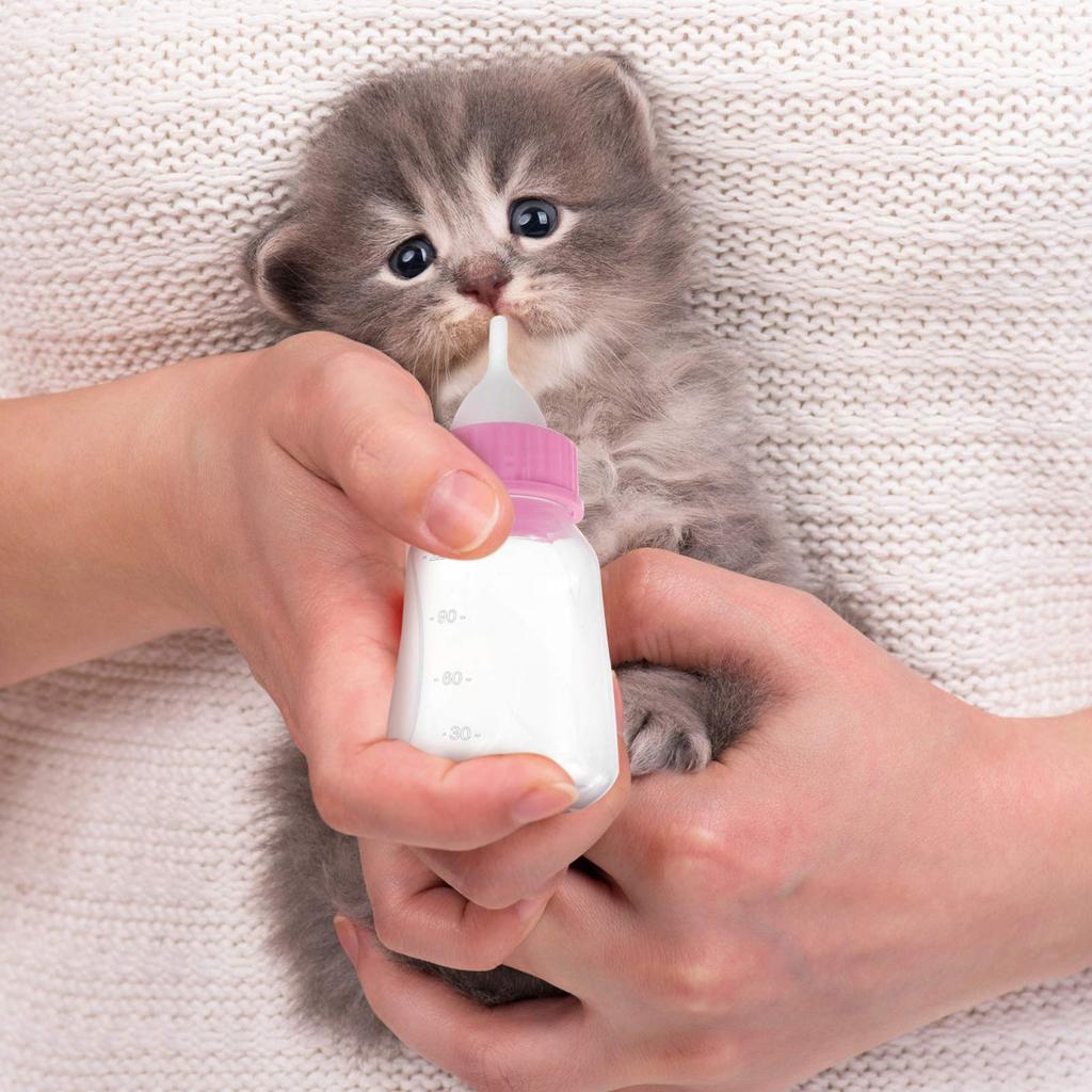 LEDMOMO Cat Feeding Kitten Milk for Puppies and Nutrition and with Feeding Dog Liquid Pet Milk Bottle Bottle, 120ml, Leak-Proof, Bottle, Kittens,
