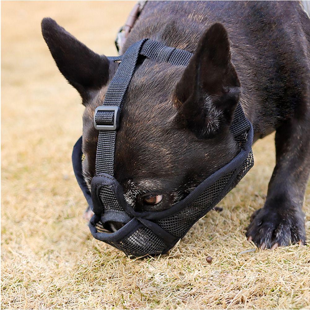 Prevent Accidental Ingestion Dog Anti-biting Anti-barking Mask  Walking The Dog