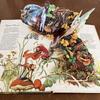 [USED] The FAERIES Pop-up Book Vintage Books