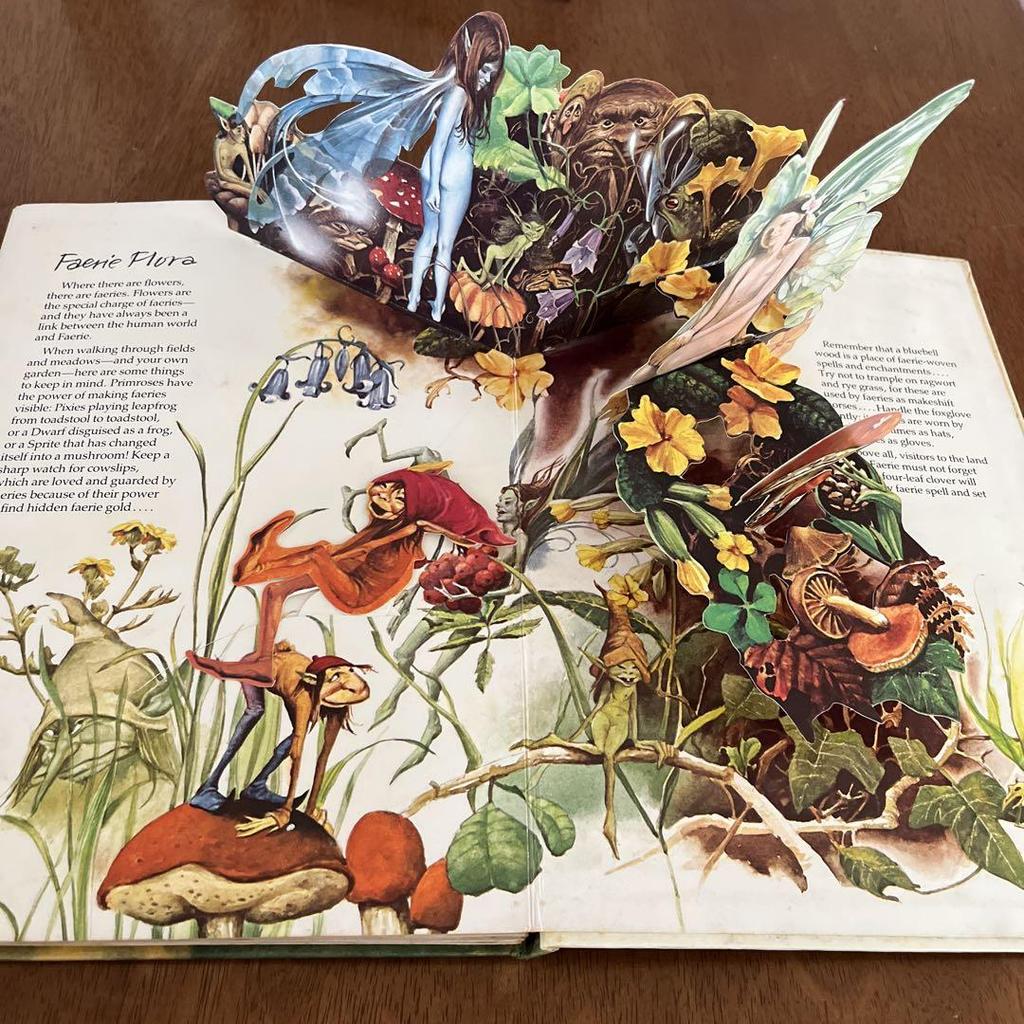 [USED] The FAERIES Pop-up Book Vintage Books