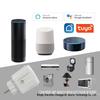 European Standard WiFi Smart Socket with Google Alexa/Alice Voice-Controlled Timing