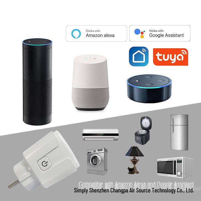 European Standard WiFi Smart Socket with Google Alexa/Alice Voice-Controlled Timing