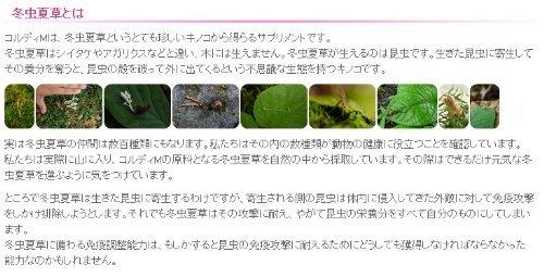 Cordy M 30g (Set of 2) Cordyceps Sinensis Supplement for Dogs and Cats, Made in Japan