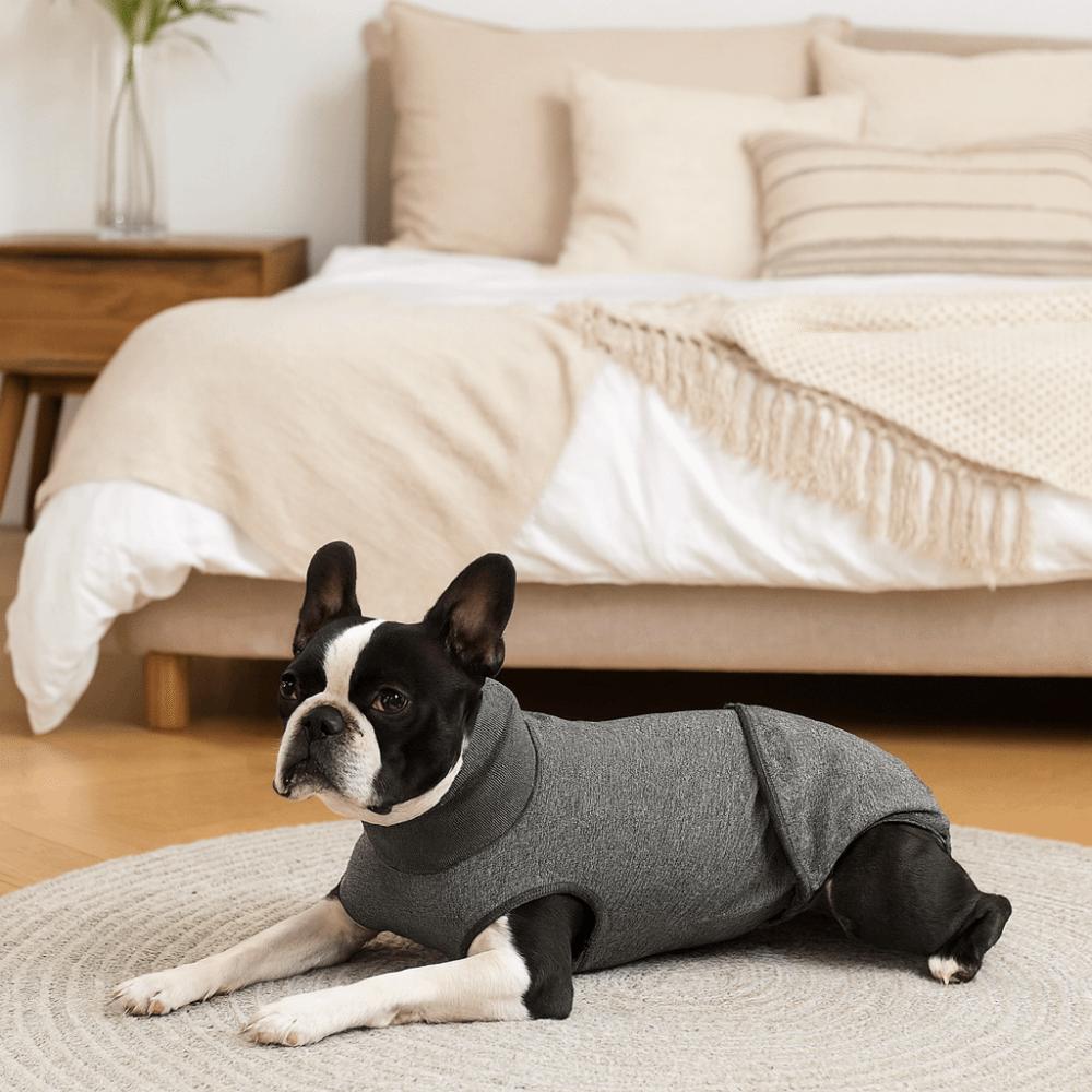 Elastic Dog Recovery Suit Breathable Washable Dog Abdominal Bandages Comfortable Adjustable Pet Underwear for Small Medium Dogs